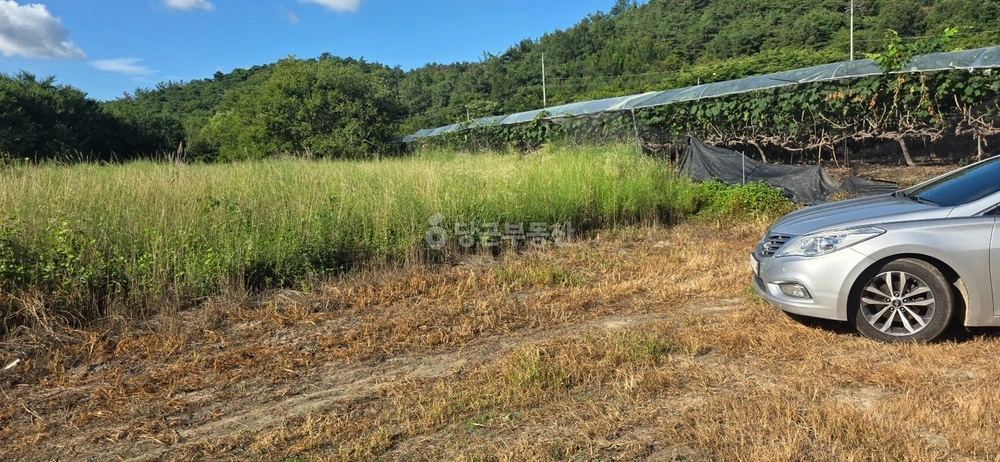 경상북도 영천시 화북면 토지 사진 1