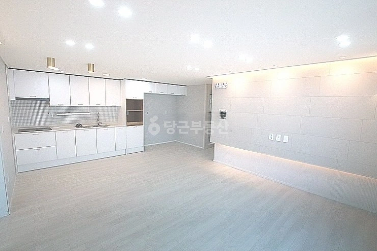 대전광역시 서구 도안동 빌라(투룸 이상) 사진 1