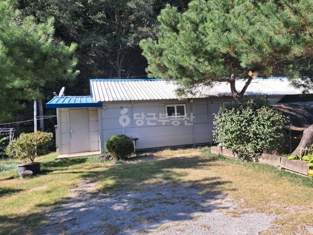 충청북도 진천군 초평면 단독/전원주택 사진 1