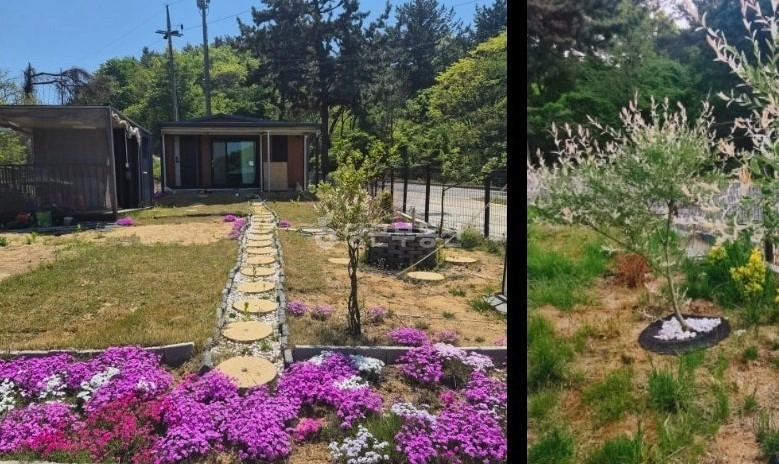충청남도 태안군 안면읍 상가 사진 1