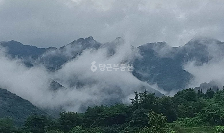 충청북도 제천시 덕산면 단독/전원주택 사진 1