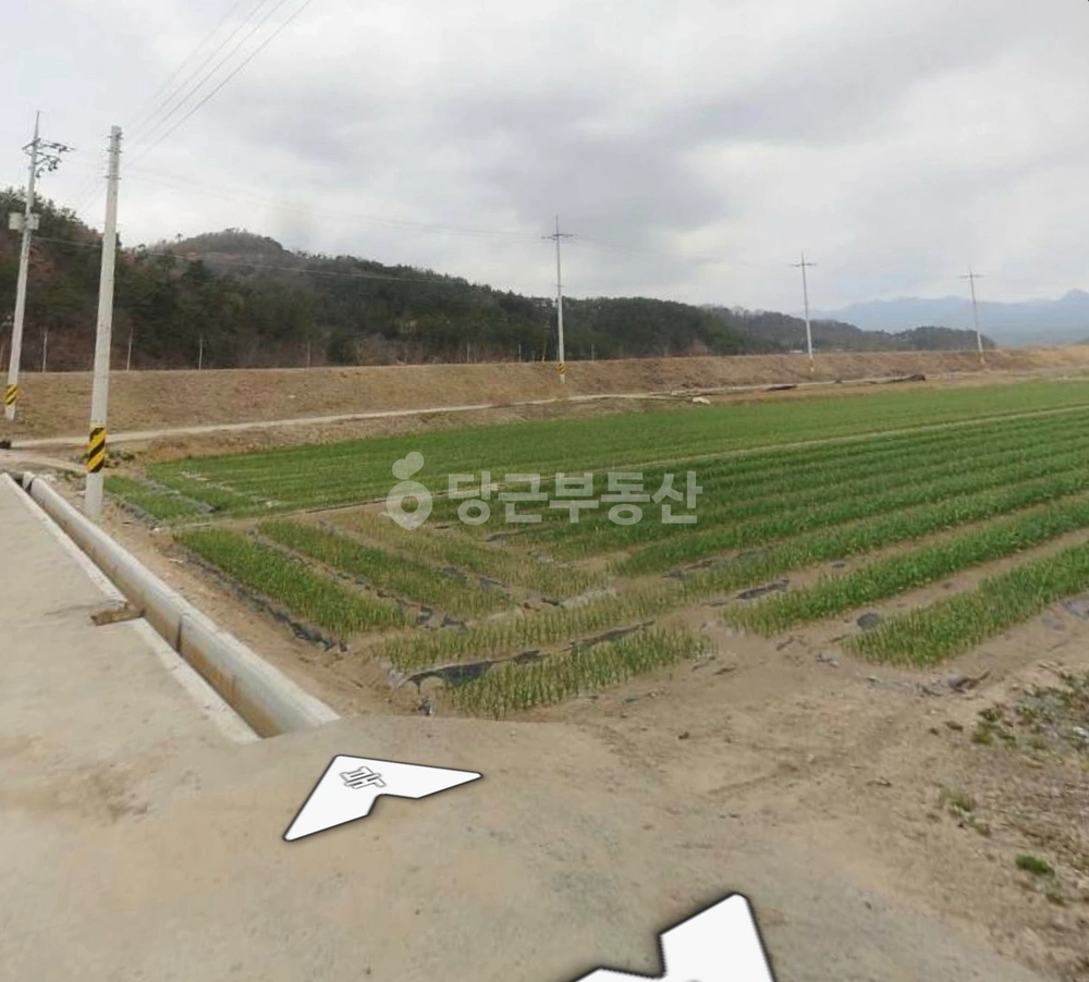 경상남도 창녕군 장마면 토지 사진 1
