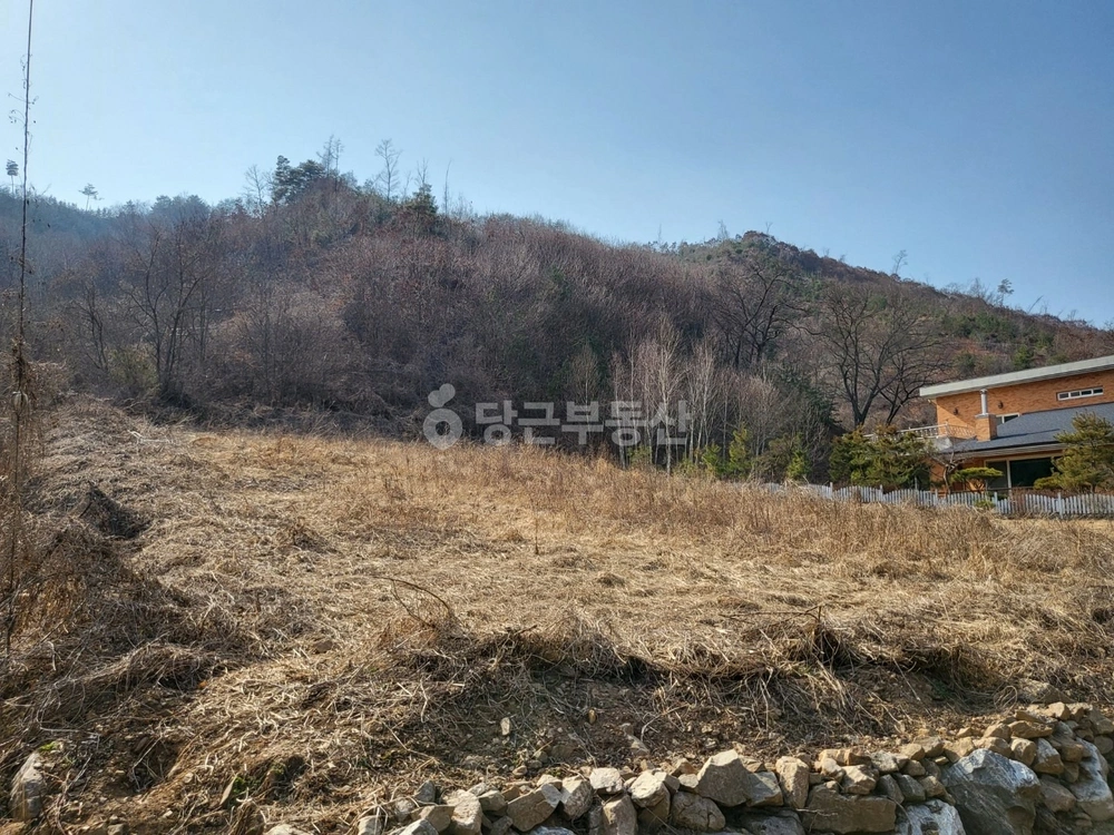 강원특별자치도 홍천군 홍천읍 토지 사진 1