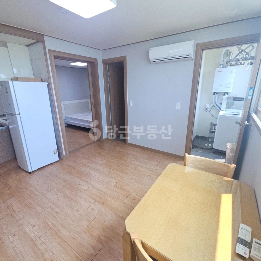 제주특별자치도 서귀포시 서호동 원룸 사진 1