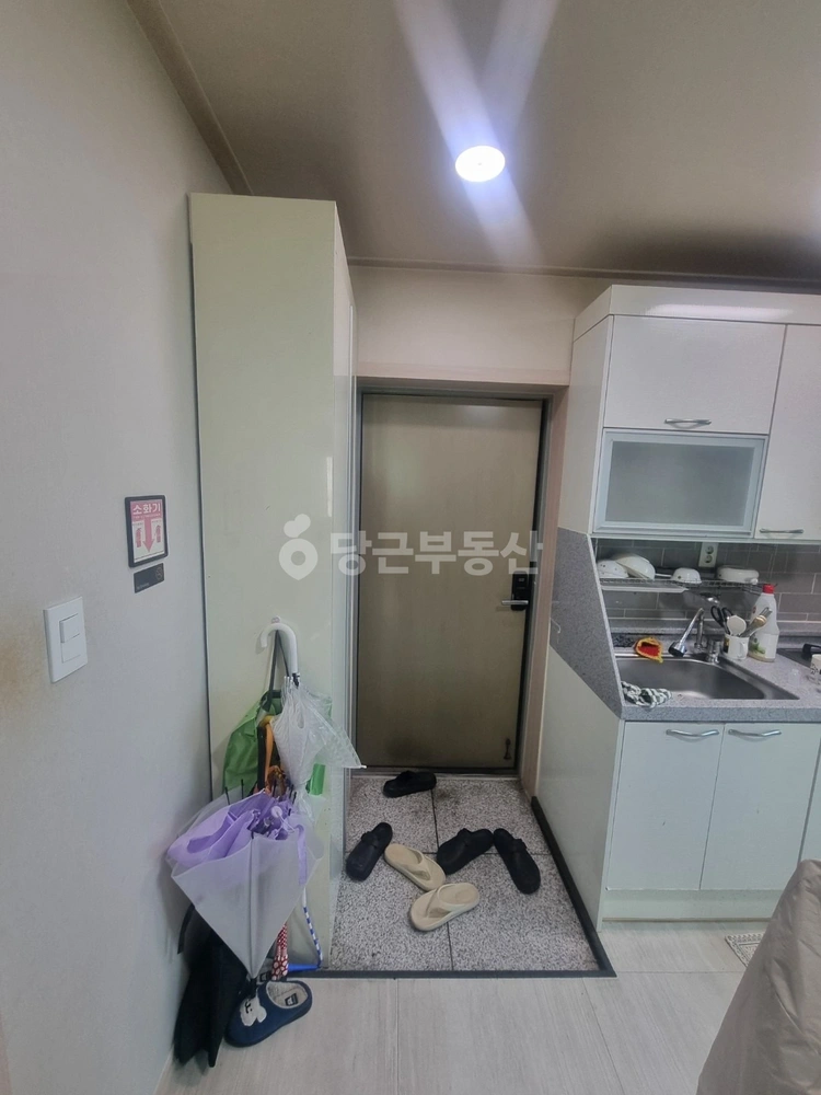 강원특별자치도 삼척시 읍중동 원룸 사진 1