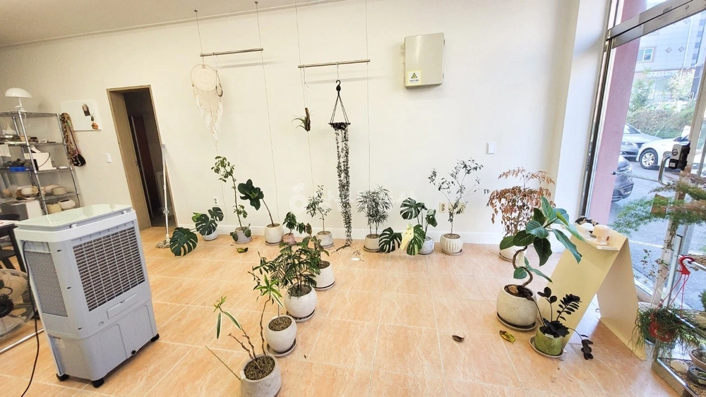 전남광주통합특별시 목포시 용해동 상가 사진 1