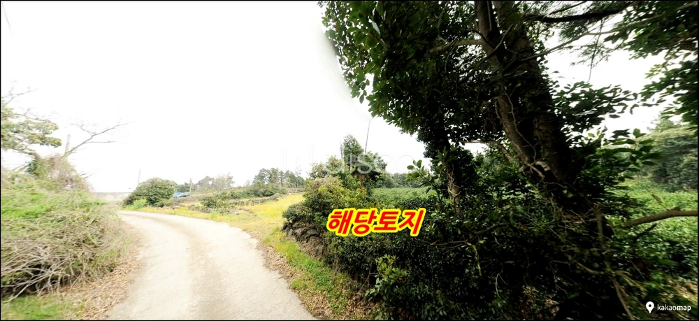 제주특별자치도 서귀포시 안덕면 토지 사진 1