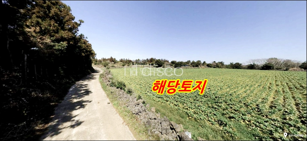 제주특별자치도 서귀포시 표선면 토지 사진 1