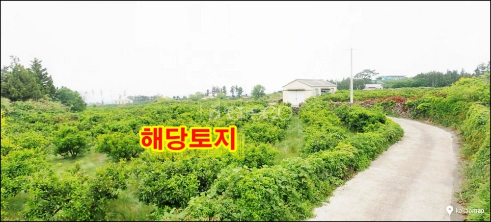 제주특별자치도 제주시 해안동 토지 사진 1