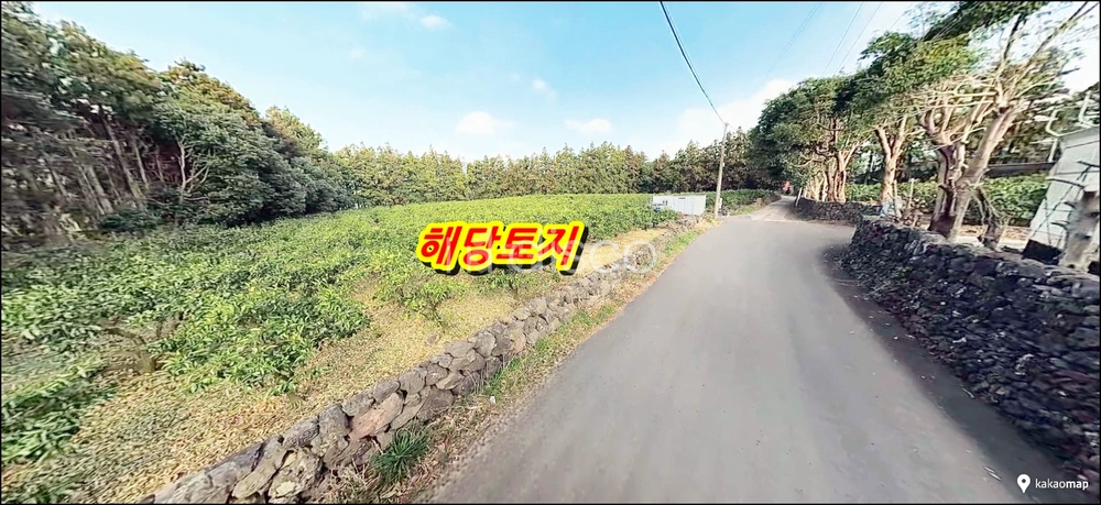 제주특별자치도 서귀포시 남원읍 토지 사진 1