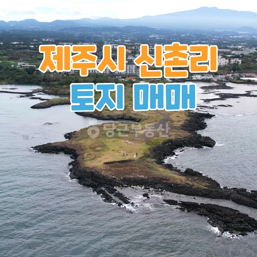 제주특별자치도 제주시 조천읍 토지 사진 1