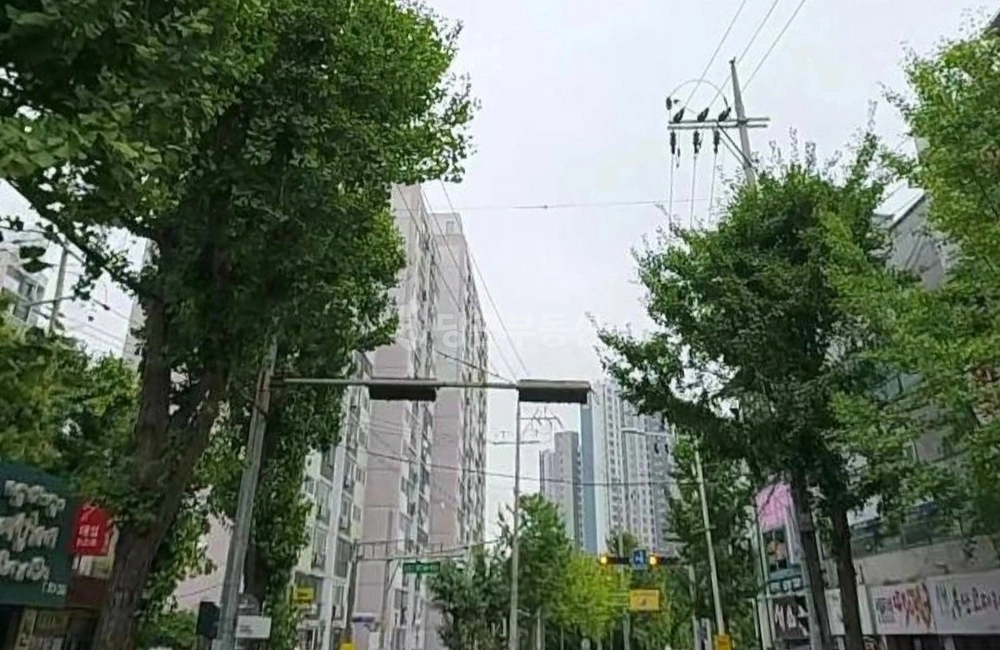 경상북도 경산시 옥산동 상가 사진 1
