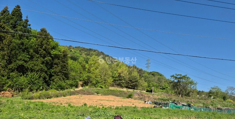 전남광주통합특별시 여수시 율촌면 토지 사진 1