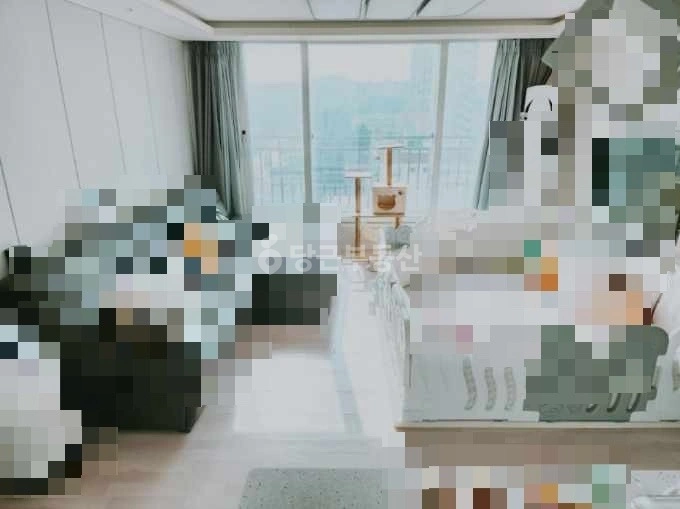 인천광역시 부평구 부평동 오피스텔 사진 1