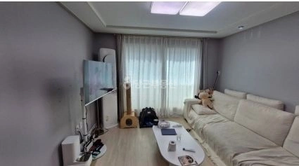 서울특별시 강서구 등촌동 빌라(투룸 이상) 사진 1
