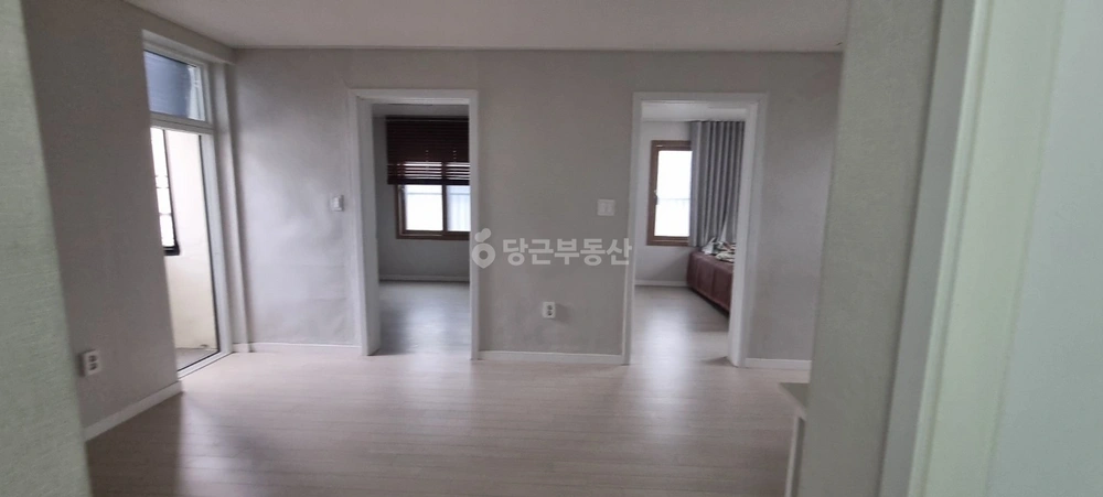 제주특별자치도 제주시 일도2동 빌라(투룸 이상) 사진 1