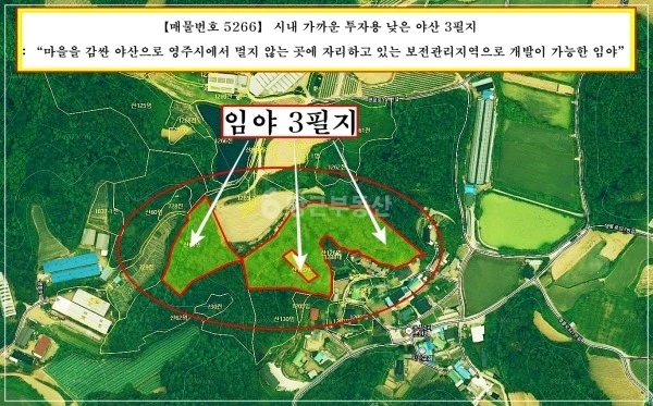 경상북도 영주시 이산면 토지 사진 1