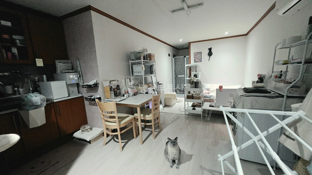 인천광역시 부평구 삼산동 원룸 사진 1