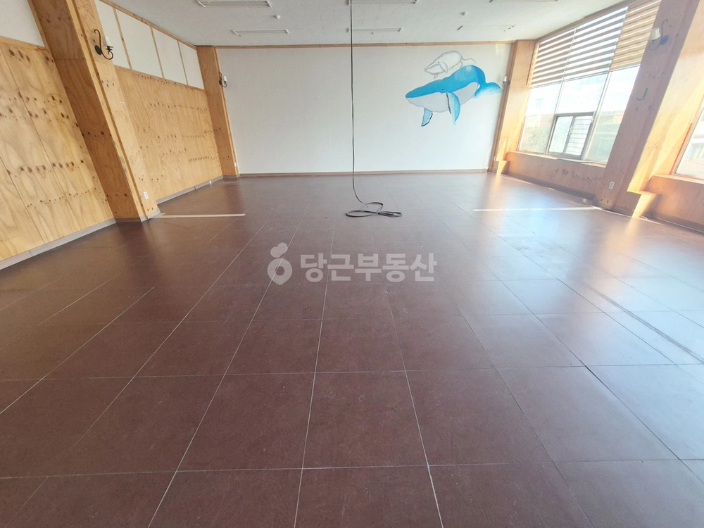 강원특별자치도 속초시 교동 상가 사진 1