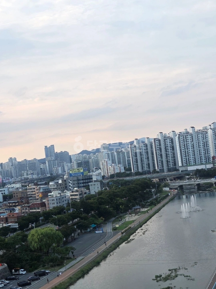 대구광역시 동구 신천동 아파트 사진 1