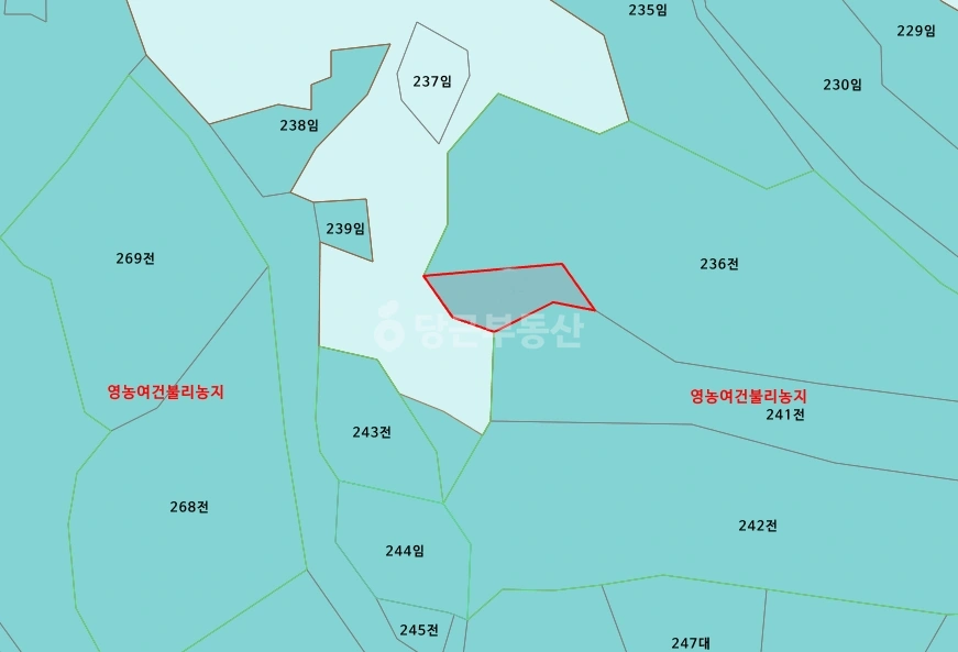 경상북도 고령군 개진면 토지 사진 1