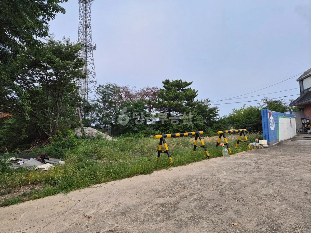 경상북도 포항시 북구 송라면 토지 사진 1