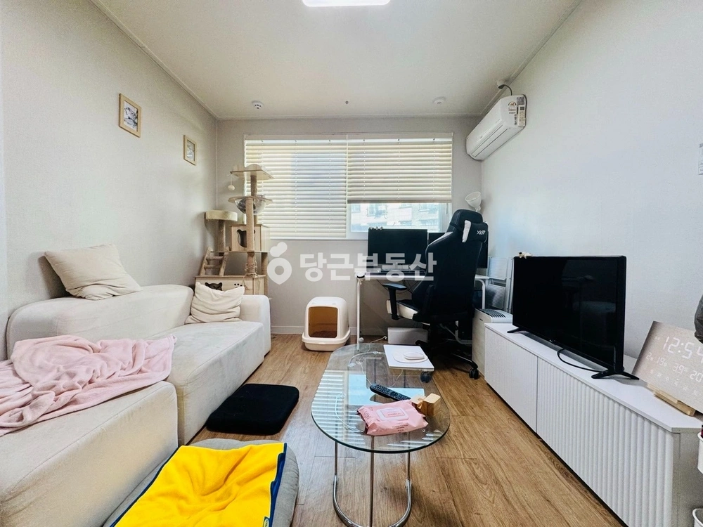 경기도 수원시 팔달구 매교동 원룸 사진 1