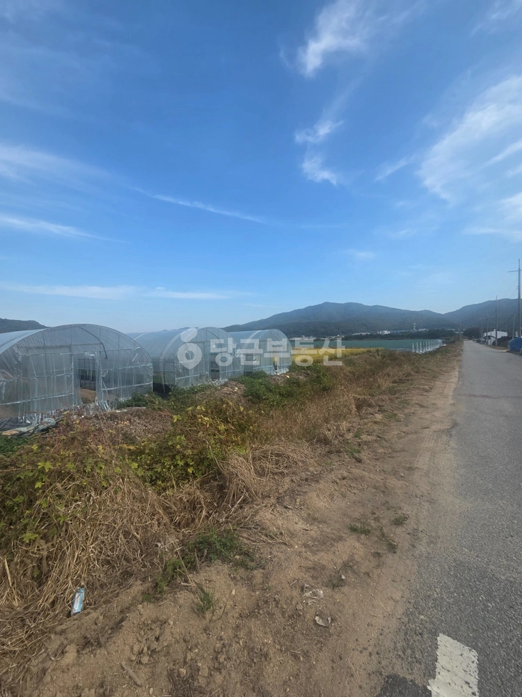 충청북도 음성군 금왕읍 토지 사진 1