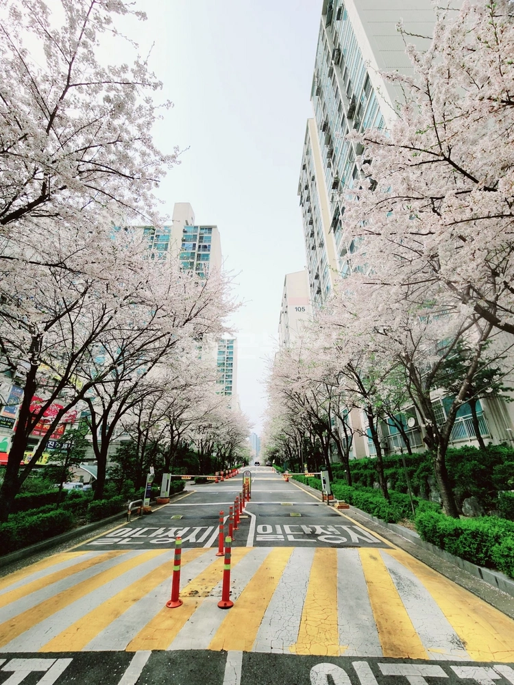 경기도 시흥시 월곶동 아파트 사진 1