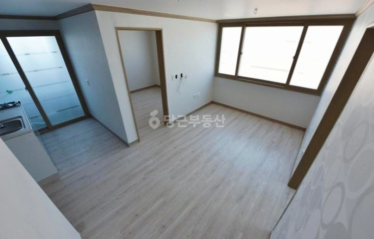 울산광역시 남구 신정동 빌라(투룸 이상) 사진 1