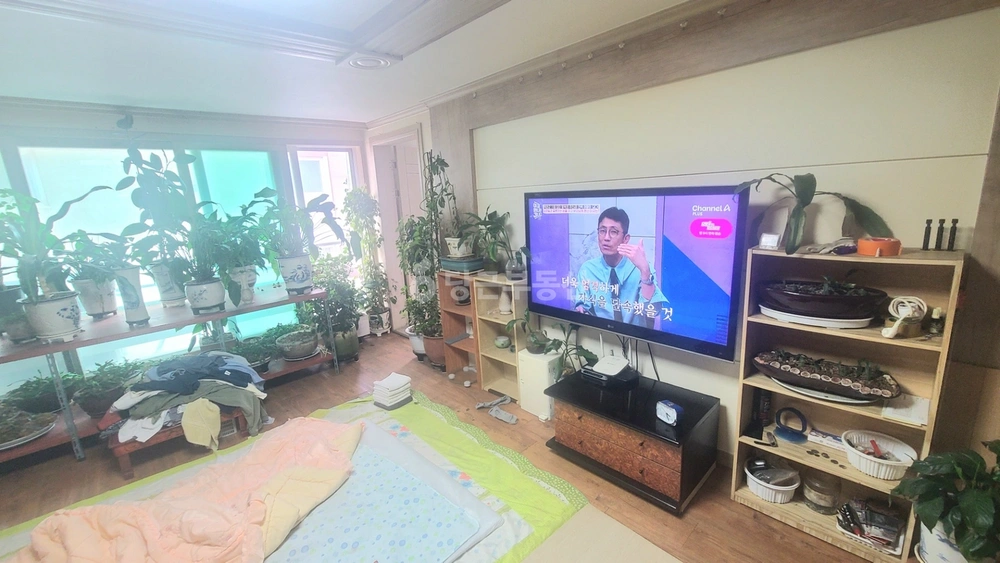 울산광역시 중구 성안동 빌라(투룸 이상) 사진 1