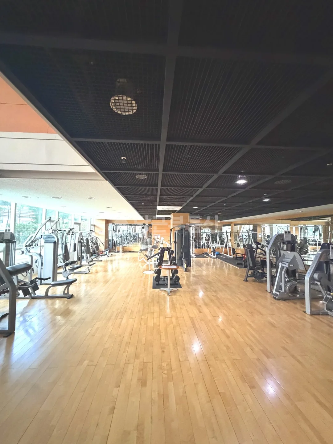 헬스장