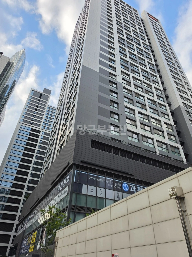 경기도 과천시 별양동 오피스텔 사진 1