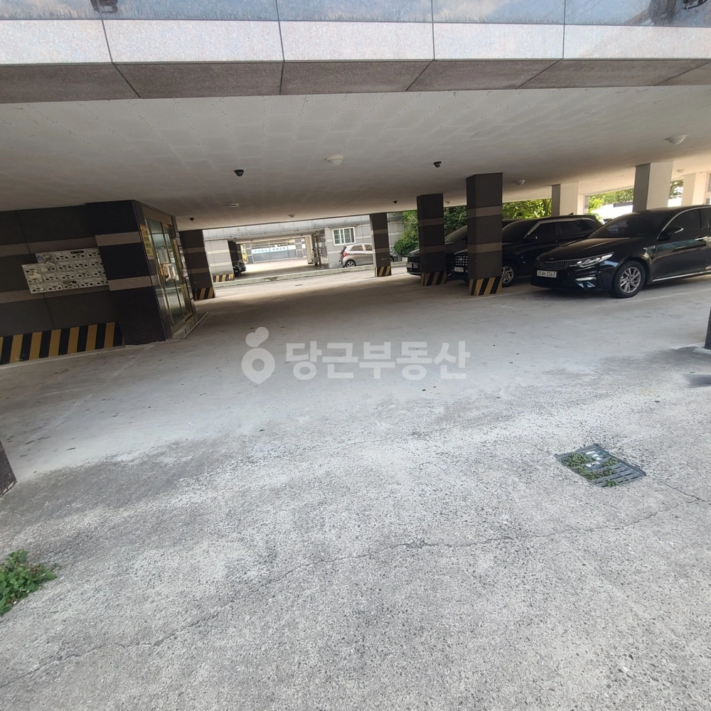 경상북도 경주시 시래동 원룸 사진 1