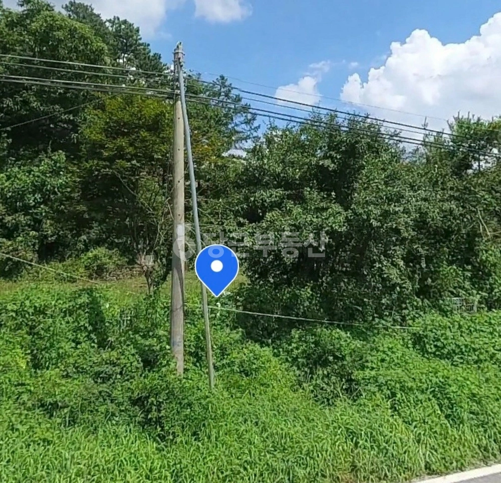 충청북도 청주시 상당구 낭성면 토지 사진 1