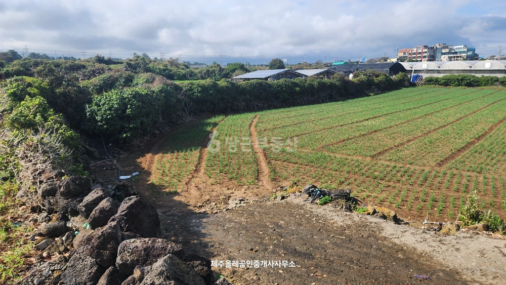 제주특별자치도 제주시 구좌읍 토지 사진 1