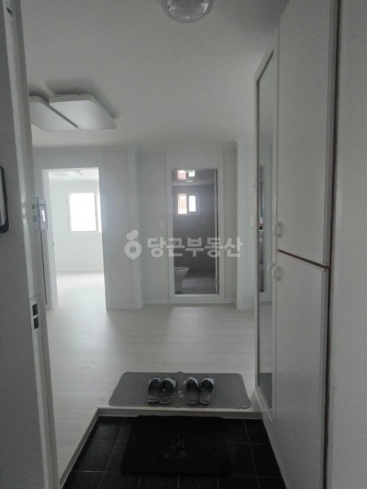 인천광역시 미추홀구 주안동 빌라(투룸 이상) 사진 1