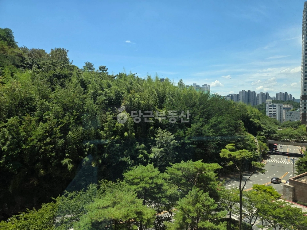 경상남도 창원시 성산구 대원동 오피스텔 사진 1