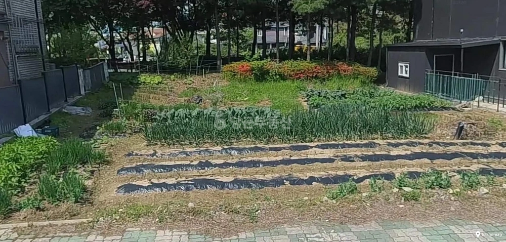 경기도 평택시 청북읍 토지 사진 1