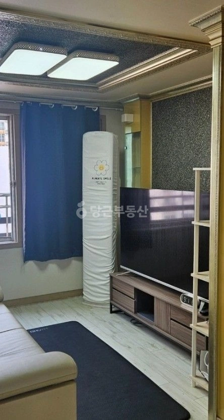 인천광역시 부평구 부평동 빌라(투룸 이상) 사진 1