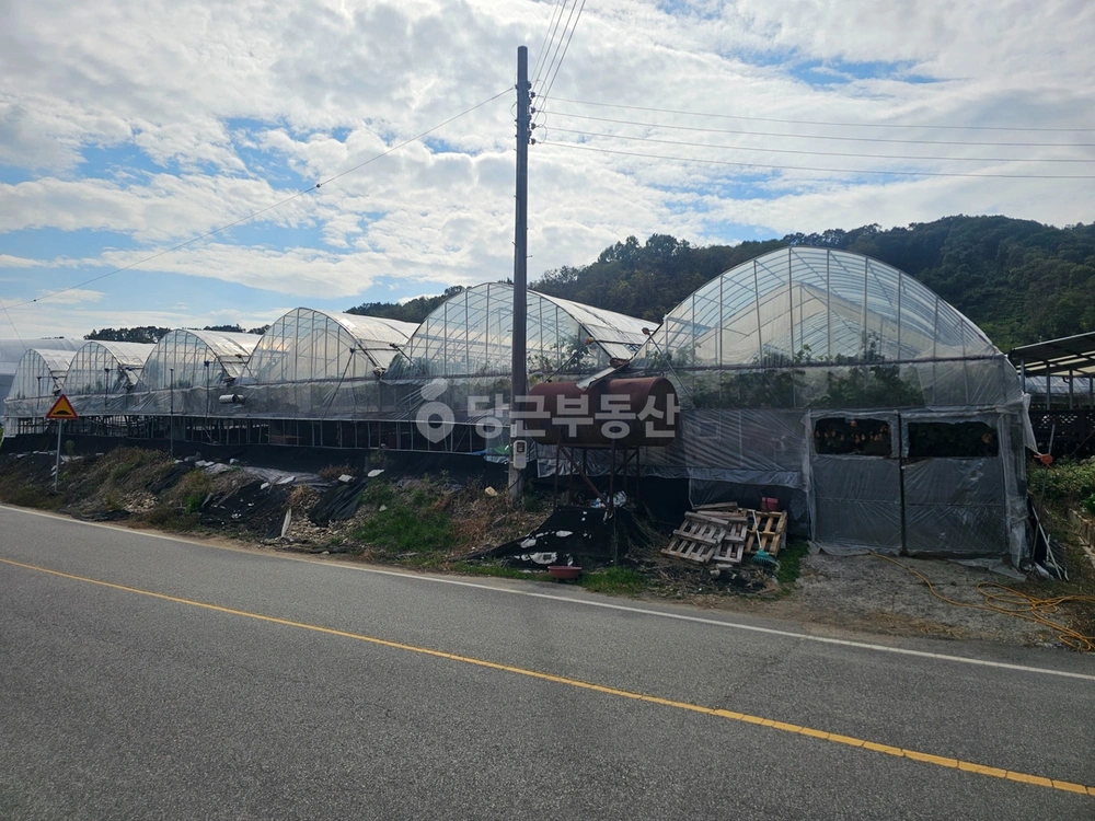 경상북도 김천시 봉산면 토지 사진 1
