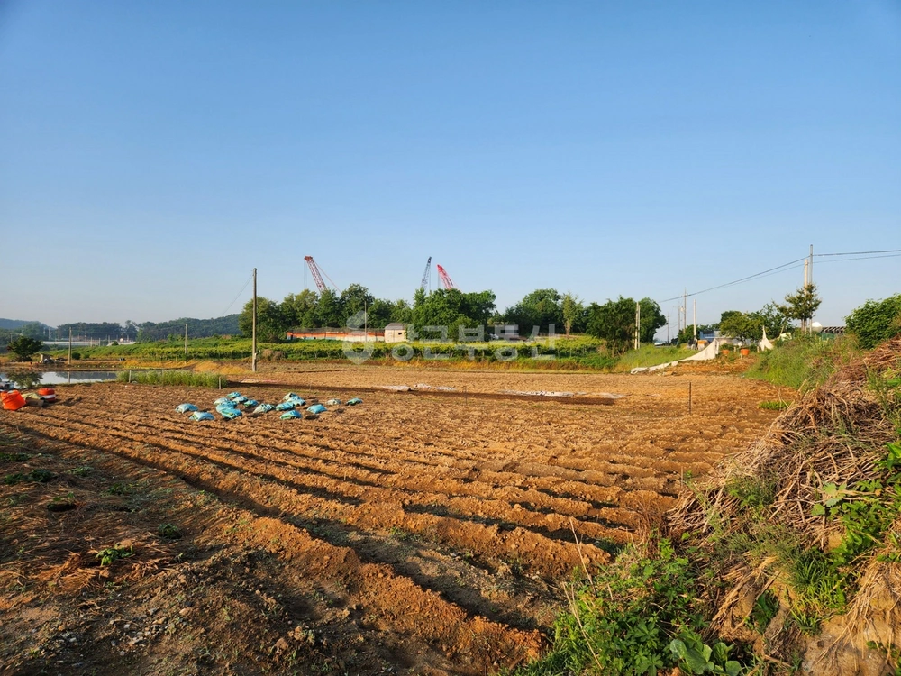 충청남도 천안시 서북구 직산읍 토지 사진 1