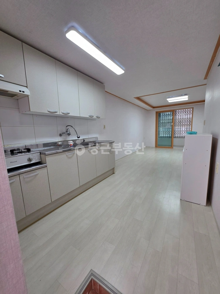 충청북도 청주시 상당구 용정동 빌라(투룸 이상) 사진 1