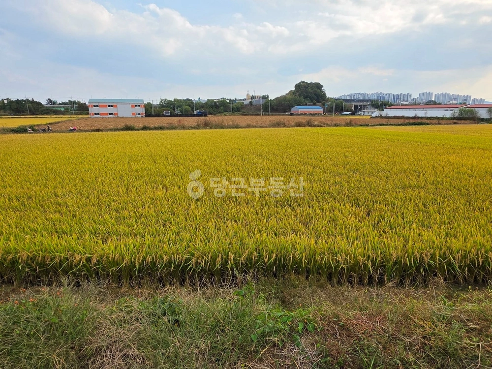 경기도 평택시 팽성읍 토지 사진 1