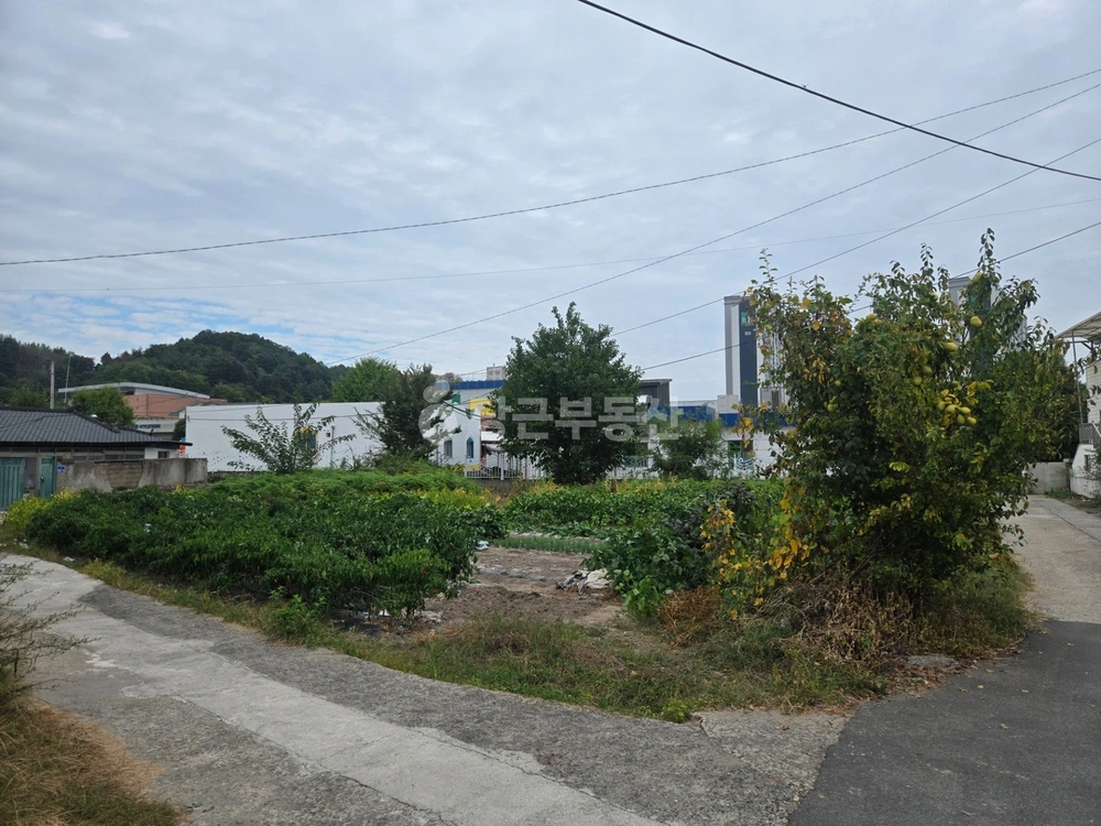 경상남도 의령군 의령읍 토지 사진 1
