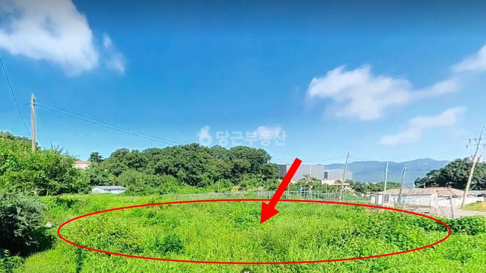 인천광역시 강화군 하점면 토지 사진 1