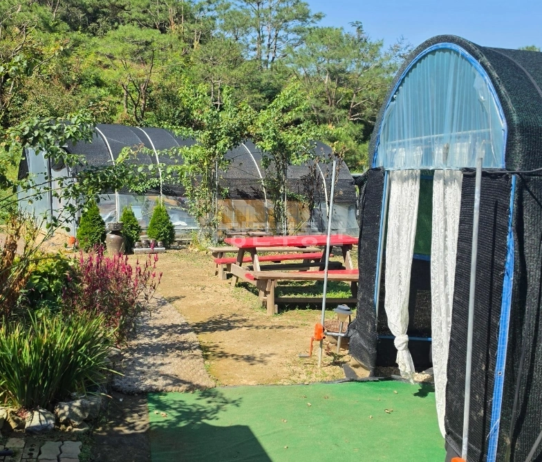 경상북도 상주시 모동면 토지 사진 1