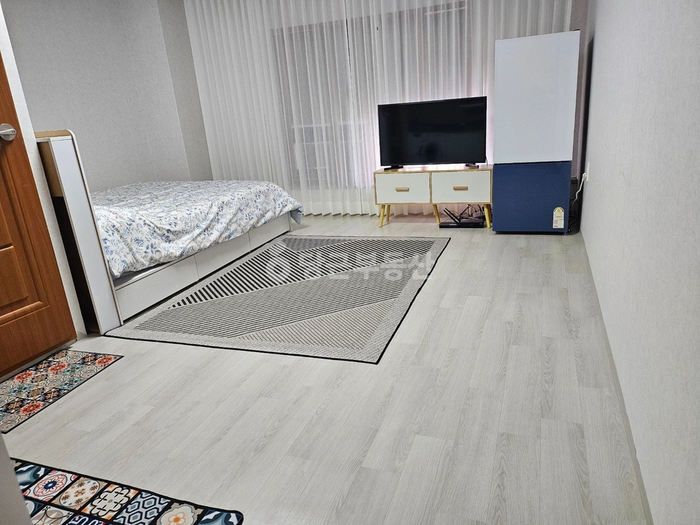 강원특별자치도 강릉시 성남동 원룸 사진 1