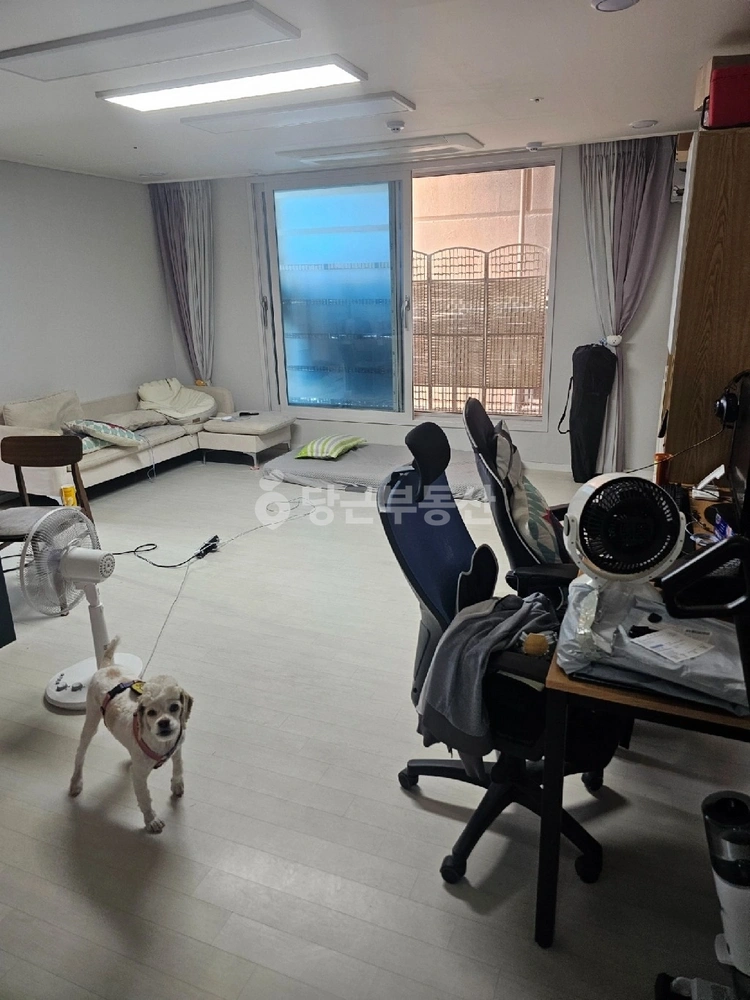 인천광역시 미추홀구 주안동 오피스텔 사진 1