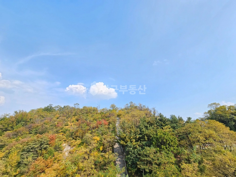 서울특별시 동대문구 답십리동 아파트 사진 1